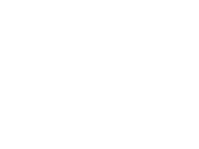alegra-footer